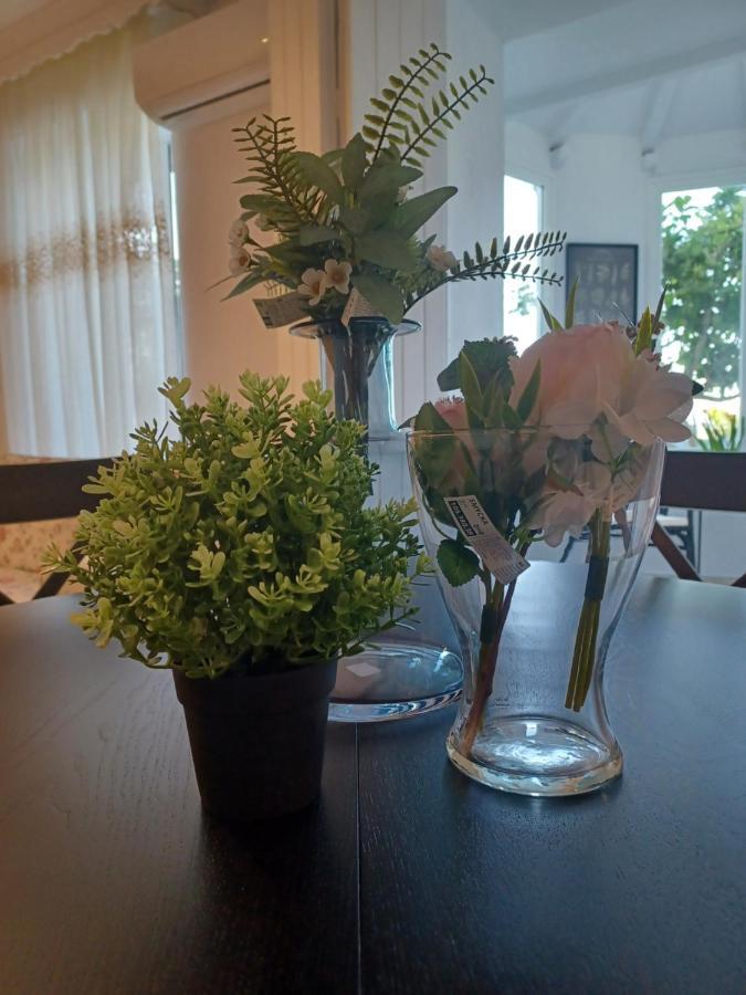 Nuevo Loft El Carpintero Διαμέρισμα Vejer de la Frontera Εξωτερικό φωτογραφία